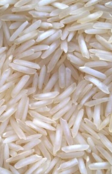 1121 Rice