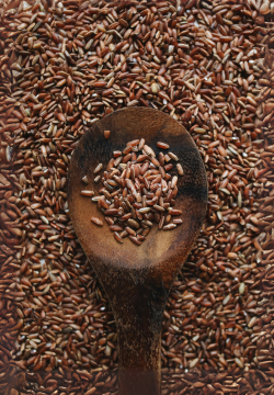 Brown Rice